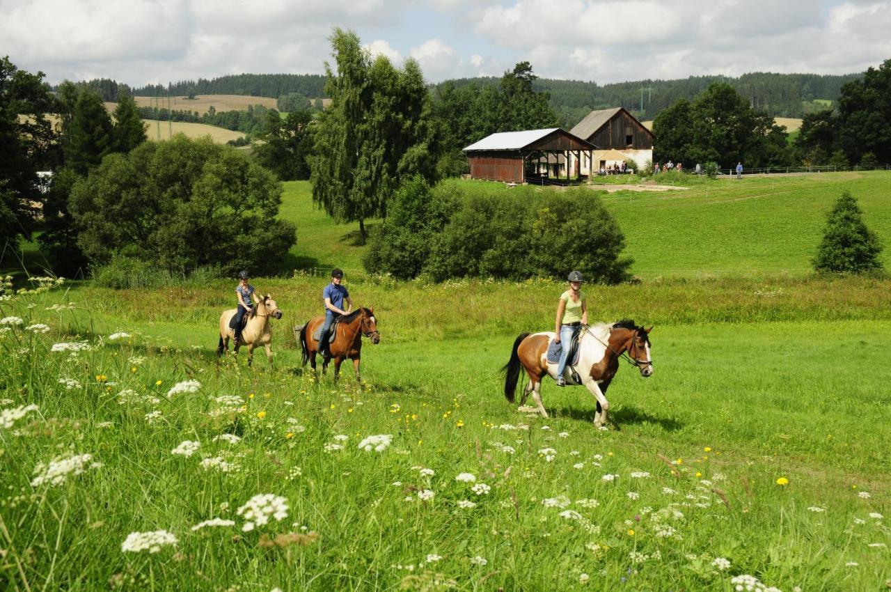 Lidmiluv Mlyn Hotel Sadek Exterior photo